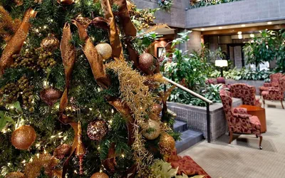 Photo 3 - Radisson Hotel Corning