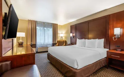 Photo 3 - Comfort Inn Fairfield Napa Valley Area