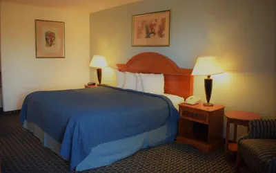Photo 3 - Texas Inn & Suites-Denton