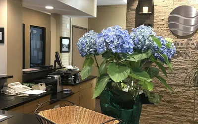 Photo 5 - Comfort Inn Ellsworth - Bar Harbor