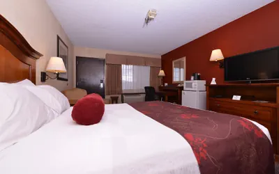 Photo 5 - Best Western Plus Rama Inn