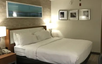Photo 4 - Holiday Inn & Suites Bolingbrook by IHG