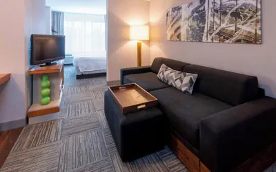 Photo 2 - SpringHill Suites by Marriott Rochester-Mayo Clinic/St Marys