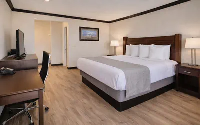 Photo 5 - Discovery Inn