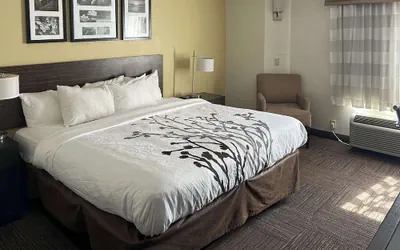 Photo 2 - Sleep Inn Wilson near I-95