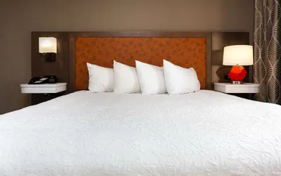 Photo 3 - Hampton Inn Kingsport