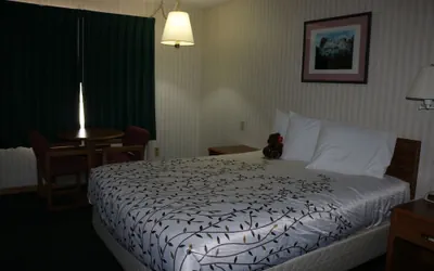 Photo 4 - Roosevelt Inn Mount Rushmore