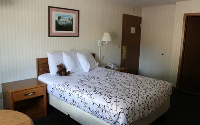 Photo 5 - Roosevelt Inn Mount Rushmore