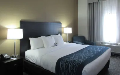 Photo 2 - Comfort Inn Port Huron