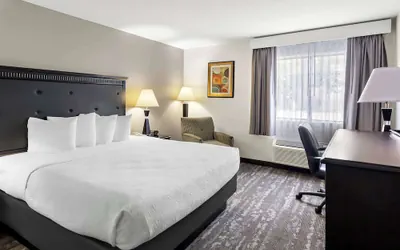 Photo 2 - Best Western Saluki Inn