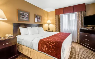 Photo 4 - Comfort Suites Wisconsin Dells Area
