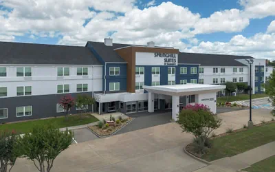 Photo 2 - SpringHill Suites Dallas Arlington North