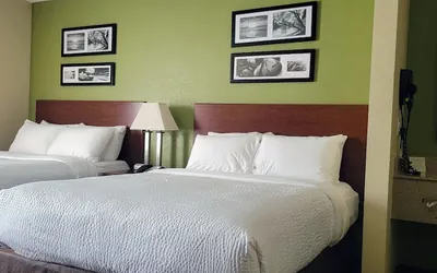 Photo 5 - Sleep Inn Near Ft Jackson