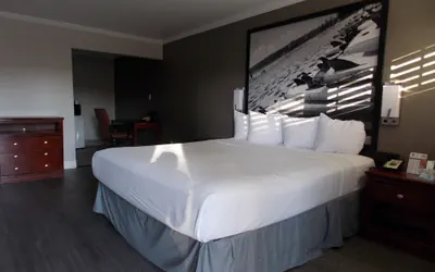 Photo 5 - Super 8 by Wyndham Santa Cruz Beach