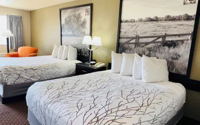 Photo 5 - Baymont by Wyndham New Braunfels TX