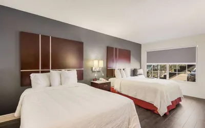 Photo 5 - SureStay Hotel by Best Western Sarasota Lido Beach