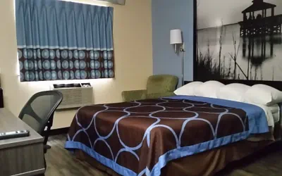 Photo 5 - Super 8 by Wyndham Greenville