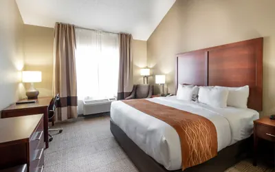 Photo 2 - Comfort Inn & Suites Love Field - Dallas Market Center