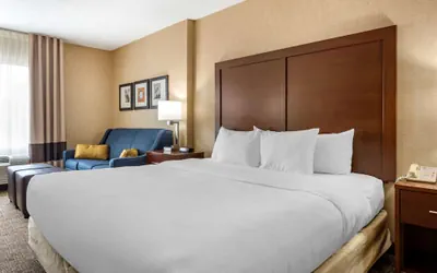 Photo 5 - Comfort Inn Meadowlands