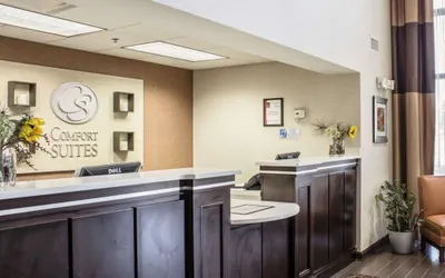 Photo 4 - Comfort Suites Regency Park