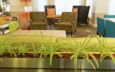 Photo 3 - Hilton Garden Inn St. Augustine Beach
