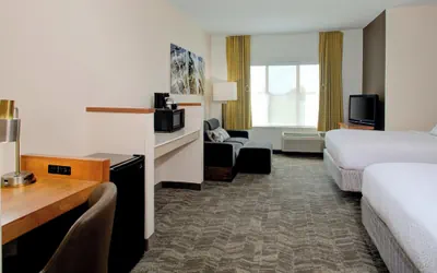 Photo 5 - Springhill Suites Memphis East / Galleria