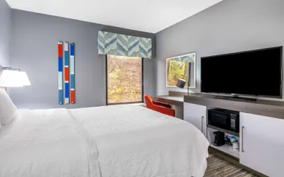 Photo 5 - Hampton Inn Sanford