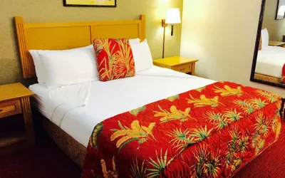 Photo 4 - Caliente Tropics Hotel