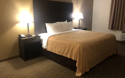 Photo 5 - Quality Inn & Suites Paragould