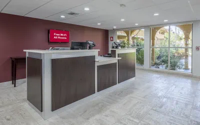 Photo 4 - Red Roof Inn Tampa Bay - St Petersburg