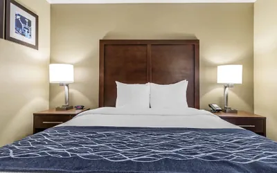 Photo 4 - Comfort Inn Sunnyvale - Silicon Valley