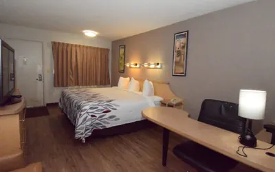 Photo 4 - Red Roof Inn Buffalo – Hamburg/ I-90