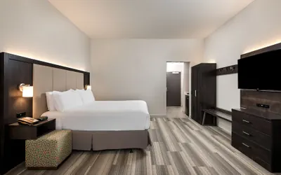 Photo 4 - Holiday Inn Express & Suites Lakeland South by IHG