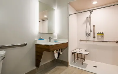 Photo 3 - Holiday Inn Express & Suites Detroit - Farmington Hills by IHG