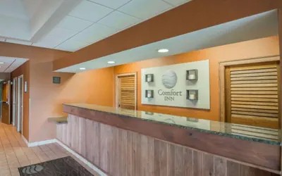 Photo 4 - Comfort Inn - NYS Fairgrounds