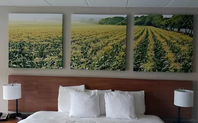 Photo 4 - Days Inn by Wyndham Vineland