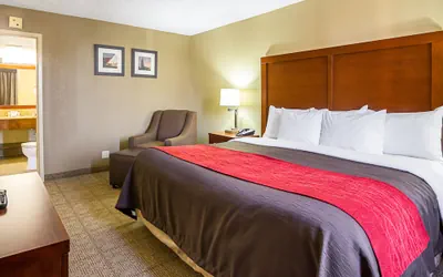 Photo 5 - Comfort Inn Cleveland Downtown