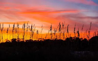 Days Inn & Suites by Wyndham Jekyll Island