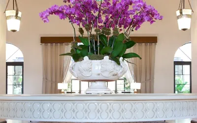 Photo 3 - The Alfond Inn