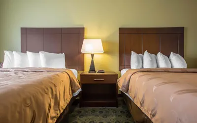 Photo 4 - Quality Inn & Suites Bloomington I-55 and I-74
