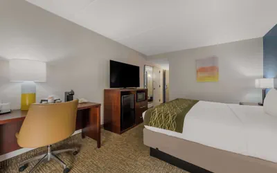 Photo 3 - Comfort Inn Newport News - Hampton I-64