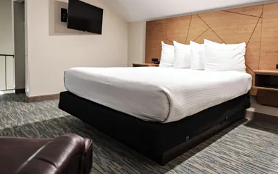 Photo 3 - RiverTree Inn & Suites