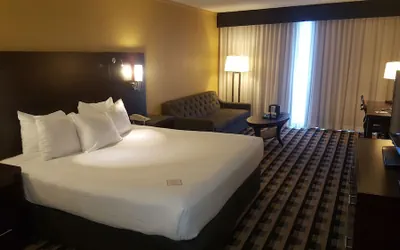 Photo 5 - M Hotel Buffalo