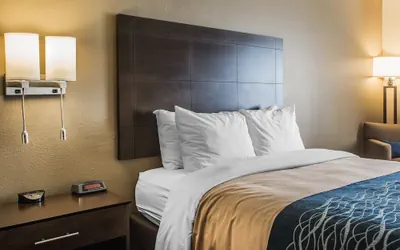 Photo 5 - Comfort Inn & Suites Waterloo - Cedar Falls