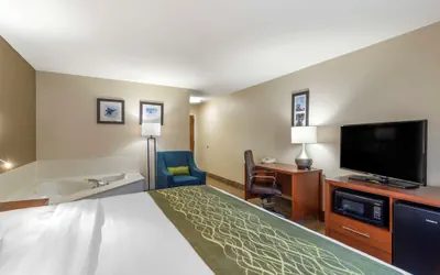Photo 4 - Comfort Inn & Suites - near Robins Air Force Base Main Gate