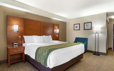 Photo 5 - Comfort Inn & Suites - near Robins Air Force Base Main Gate