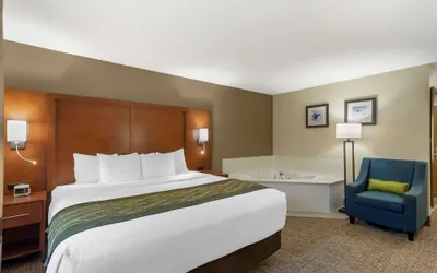 Photo 3 - Comfort Inn & Suites - near Robins Air Force Base Main Gate