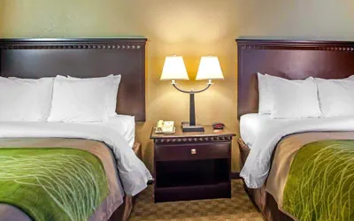 Photo 5 - Comfort Inn Edison - New Brunswick