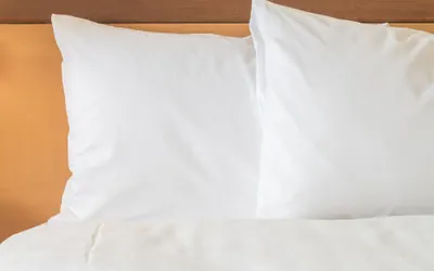 Photo 5 - Holiday Inn Greenville by IHG
