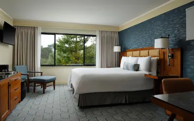 Photo 4 - Hotel Abrego